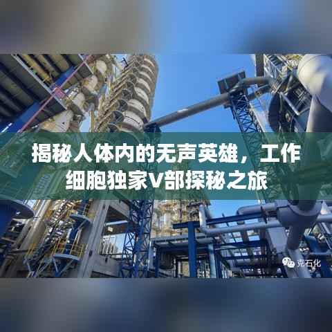 揭秘人体内的无声英雄,工作细胞独家V部探秘之旅
