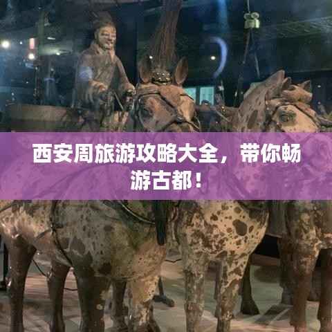 西安周旅游攻略大全，带你畅游古都！