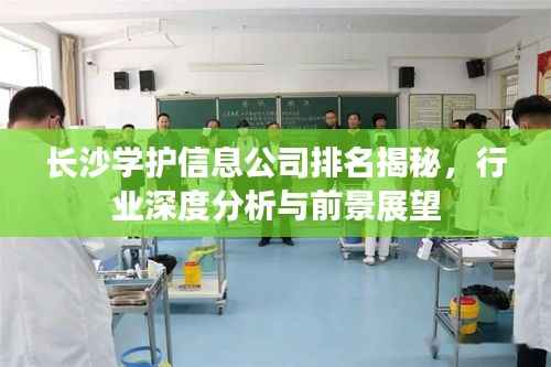 长沙学护信息公司排名揭秘,行业深度分析与前景展望