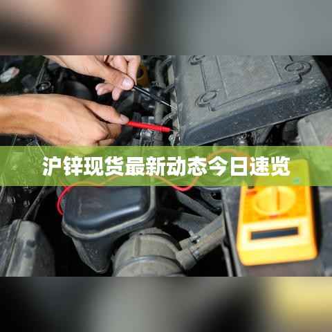 沪锌现货最新动态今日速览