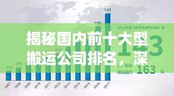 揭秘国内前十大型搬运公司排名,深度行业洞察与解析