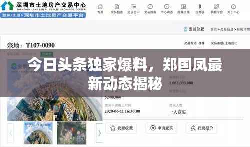 今日头条独家爆料，郑国凤最新动态揭秘