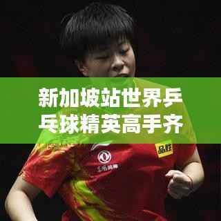 铺张扬厉 第2页