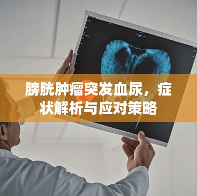 膀胱肿瘤突发血尿,症状解析与应对策略