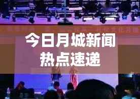 今日月城新闻热点速递