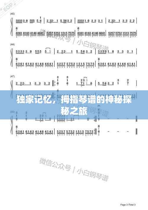 独家记忆，拇指琴谱的神秘探秘之旅