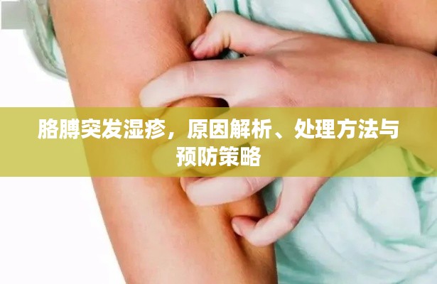 胳膊突发湿疹,原因解析、处理方法与预防策略