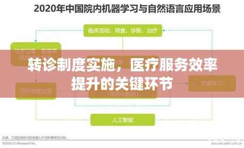 转诊制度实施，医疗服务效率提升的关键环节