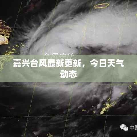 嘉兴台风最新更新,今日天气动态