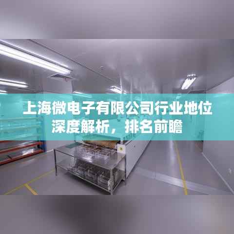 上海微电子有限公司行业地位深度解析,排名前瞻