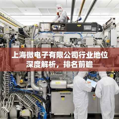 上海微电子有限公司行业地位深度解析,排名前瞻