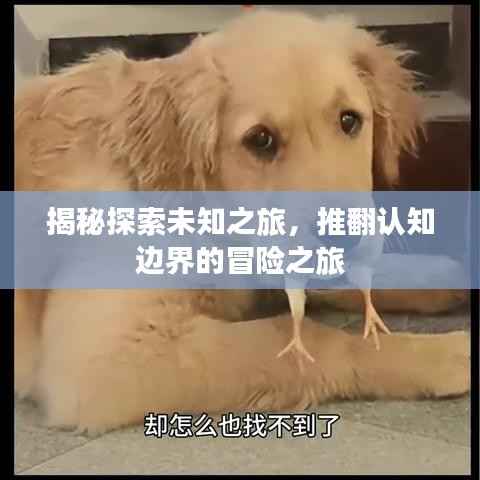 揭秘探索未知之旅,推翻认知边界的冒险之旅