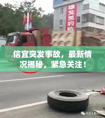 信宜突发事故,最新情况揭秘,紧急关注!