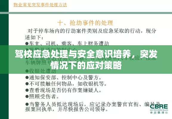 驾校应急处理与安全意识培养,突发情况下的应对策略