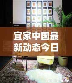 宜家中国最新动态今日发布
