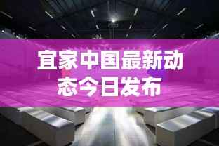 宜家中国最新动态今日发布