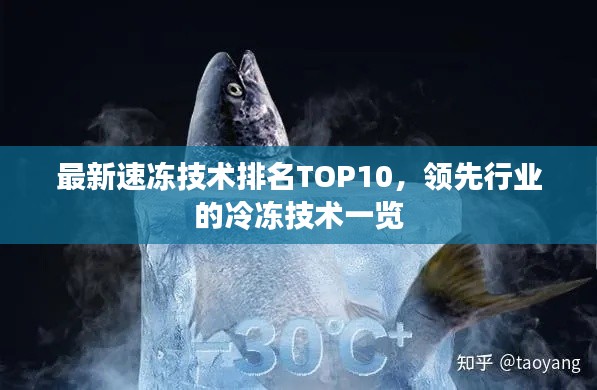 映月读书 第2页