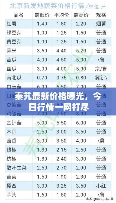秦艽最新价格曝光，今日行情一网打尽