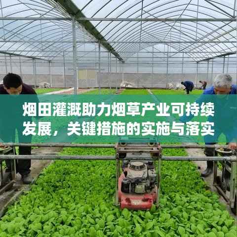 烟田灌溉助力烟草产业可持续发展，关键措施的实施与落实