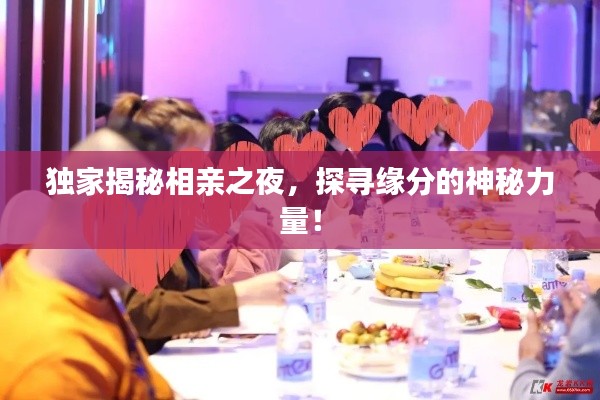 独家揭秘相亲之夜,探寻缘分的神秘力量!