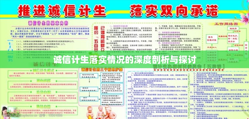 诚信计生落实情况的深度剖析与探讨