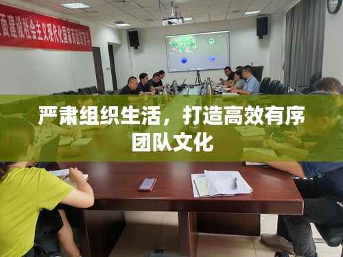 严肃组织生活,打造高效有序团队文化
