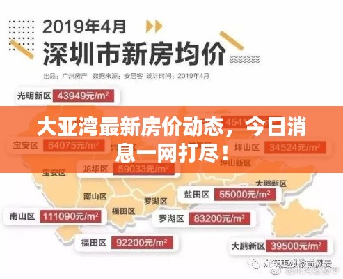 大亚湾最新房价动态，今日消息一网打尽！