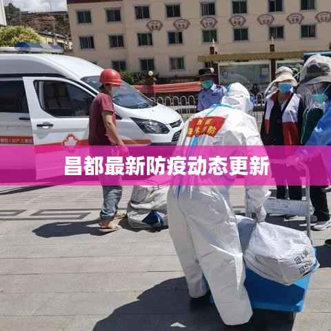 忠心耿耿 第3页