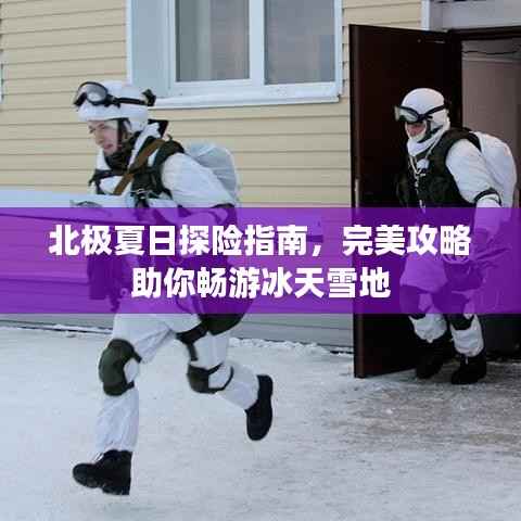 北极夏日探险指南，完美攻略助你畅游冰天雪地