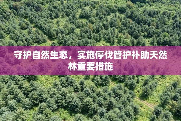 守护自然生态,实施停伐管护补助天然林重要措施