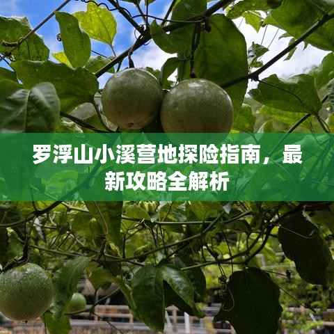 罗浮山小溪营地探险指南，最新攻略全解析