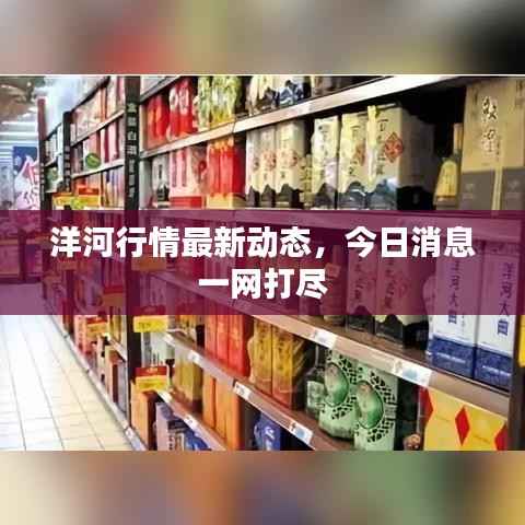 洋河行情最新动态，今日消息一网打尽