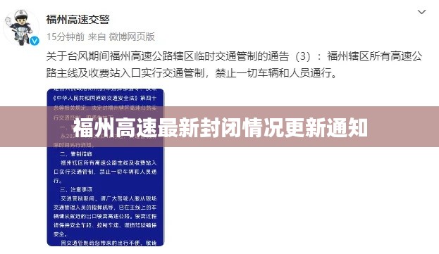 小鸟伊人 第2页