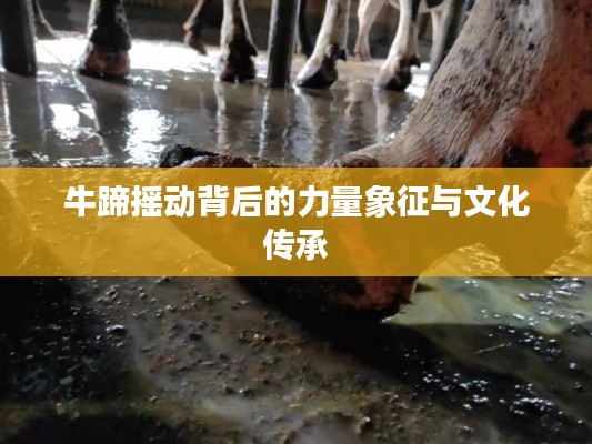 牛蹄摇动背后的力量象征与文化传承