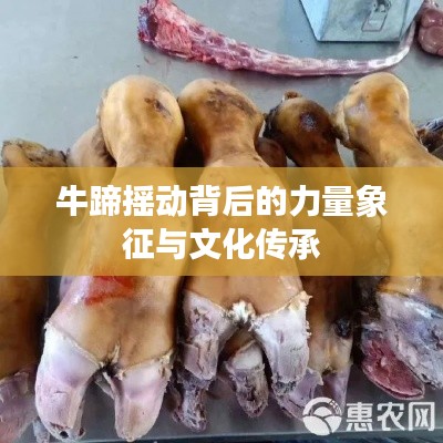 牛蹄摇动背后的力量象征与文化传承