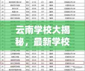 云南学校大揭秘，最新学校排名榜单出炉！