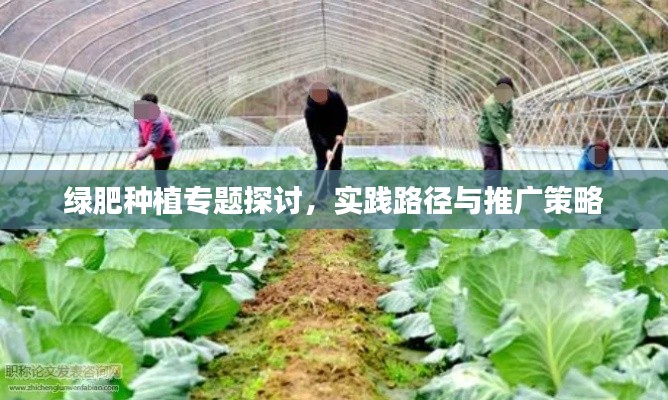 绿肥种植专题探讨，实践路径与推广策略