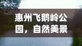 逆风飞扬 第3页