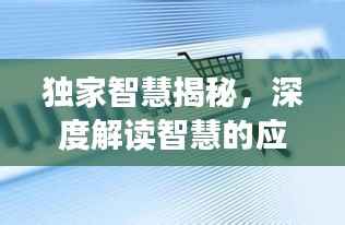 独家智慧揭秘，深度解读智慧的应用与价值
