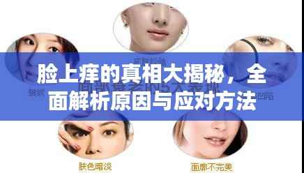 滔滔不绝 第3页