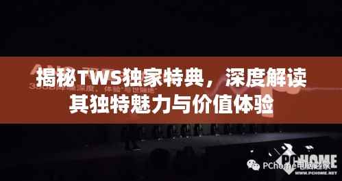 揭秘TWS独家特典，深度解读其独特魅力与价值体验
