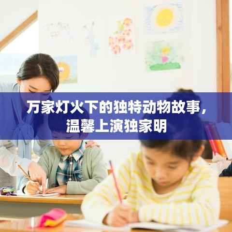 万家灯火下的独特动物故事，温馨上演独家明