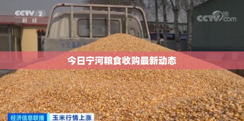 半截鸟木 第2页