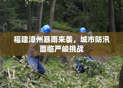 福建漳州暴雨来袭，城市防汛面临严峻挑战
