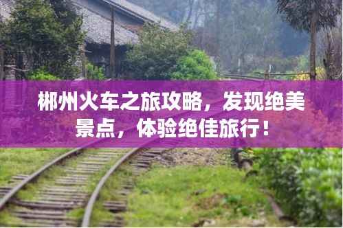 无影无踪 第2页