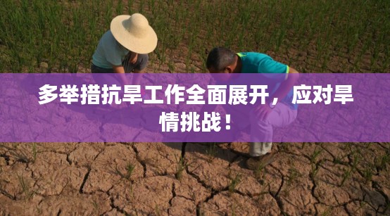 多举措抗旱工作全面展开，应对旱情挑战！
