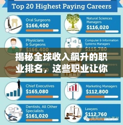 揭秘全球收入飙升的职业排名，这些职业让你轻松实现财富自由！