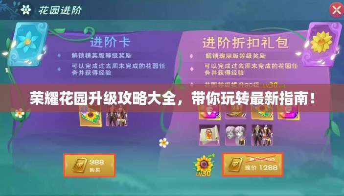 荣耀花园升级攻略大全，带你玩转最新指南！