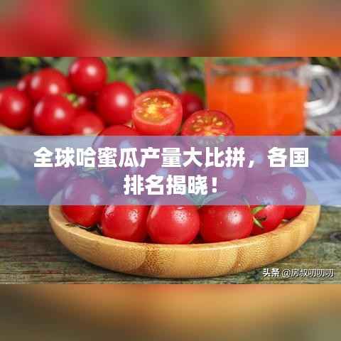 全球哈蜜瓜产量大比拼，各国排名揭晓！
