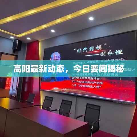 高阳最新动态，今日要闻揭秘
